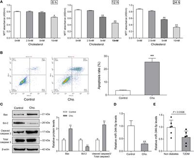 miR-344-5p Modulates Cholesterol-Induced β-Cell Apoptosis and Dysfunction Through Regulating Caveolin-1 Expression